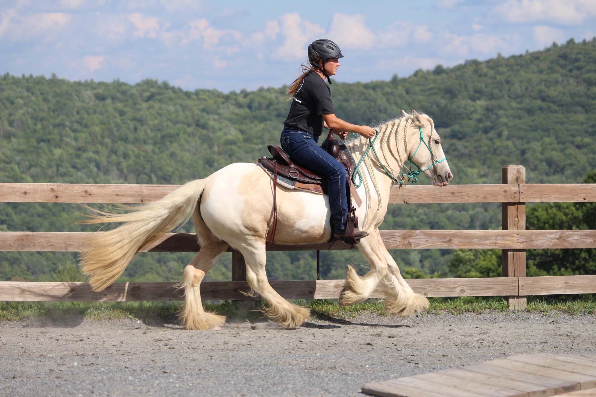Riding with Thunder at Full Circle Farm